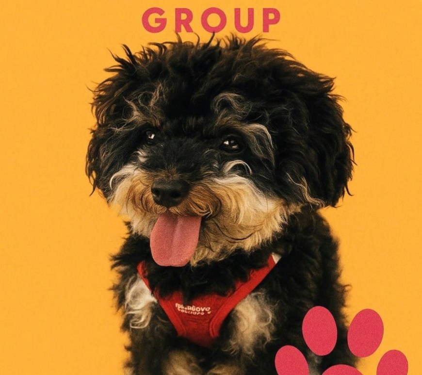 ATX Small Dogs-Yenis Monterrey